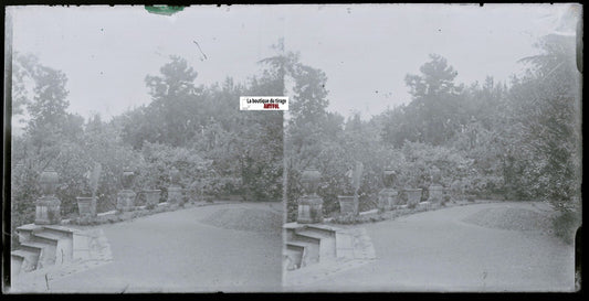 Jardin, parc, Plaque verre photo ancienne, stéréo négatif noir & blanc 9x18 cm