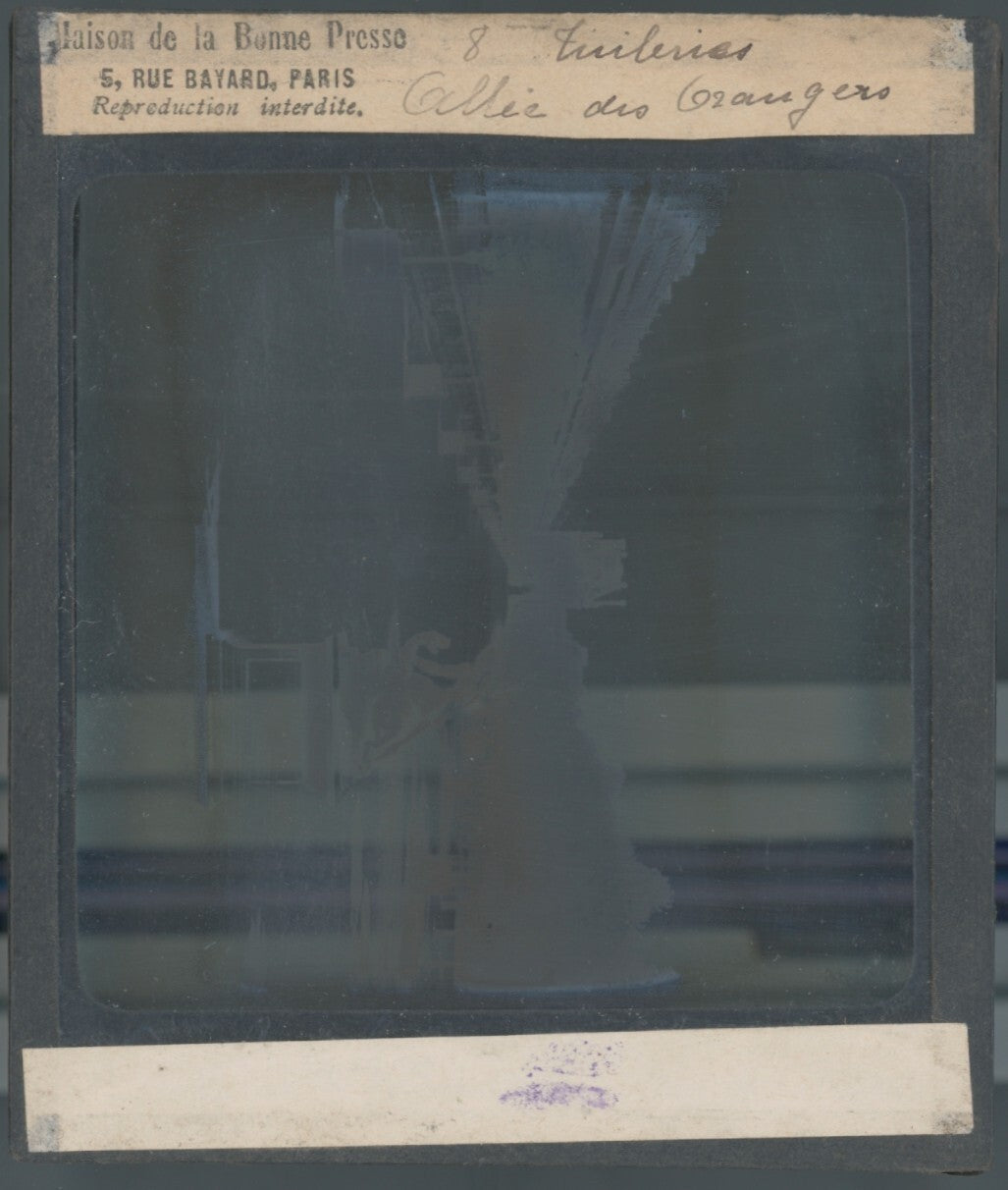 Jardin des Tuileries, Paris, photo ancienne plaque verre, positif 8,5x10 cm