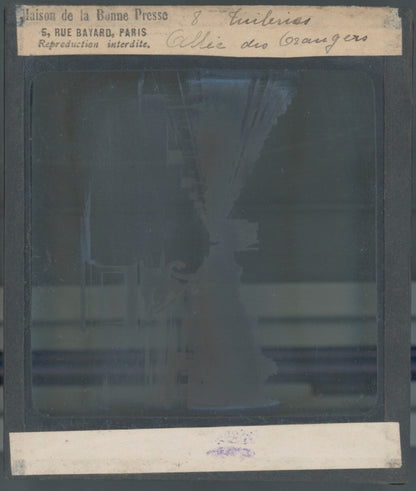 Jardin des Tuileries, Paris, photo ancienne plaque verre, positif 8,5x10 cm