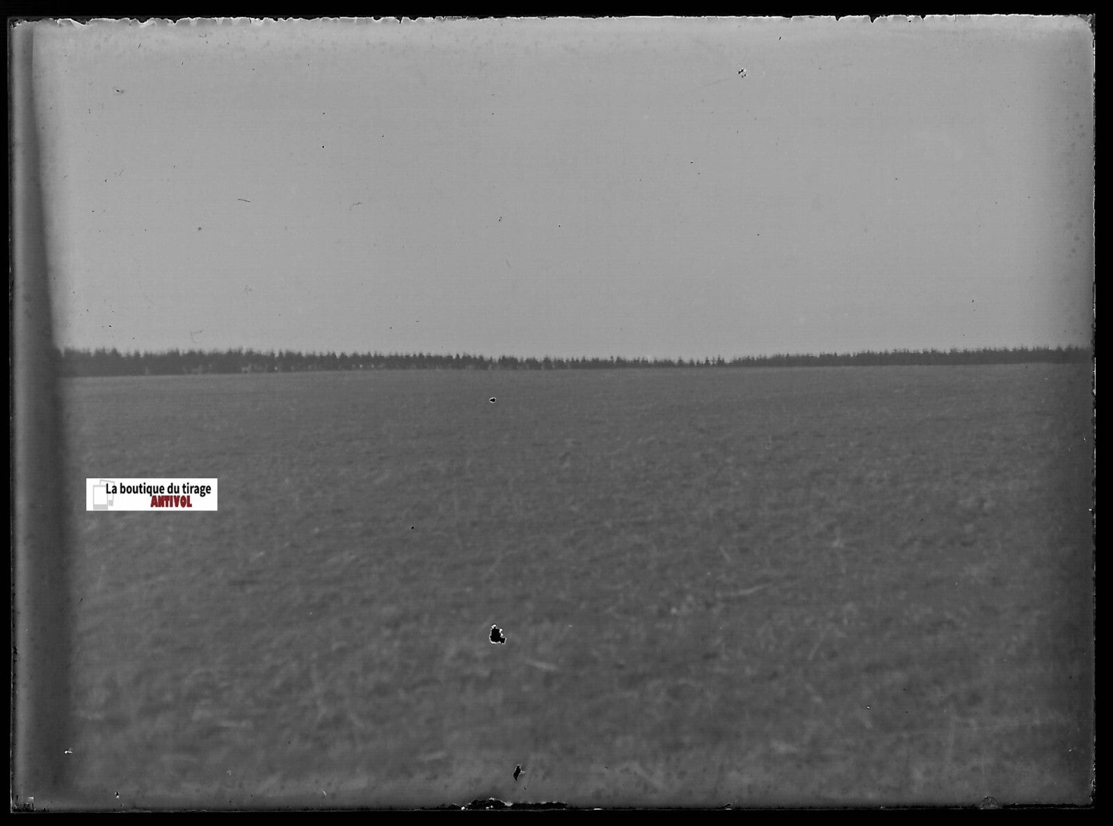 Campagne, paysage, Plaque verre photo ancienne, négatif noir & blanc 6x9 cm