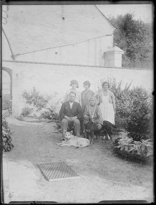 Plaque verre photo ancienne négatif noir et blanc 9x12 cm famille chiens France 