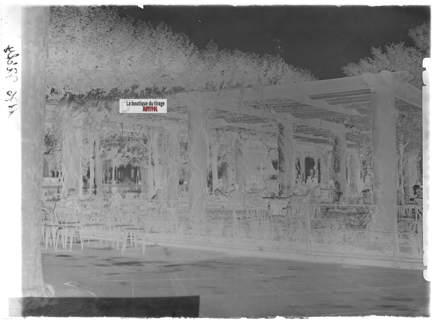 Plaque verre photo ancienne négatif noir et blanc 13x18 cm Vichy parc pergola