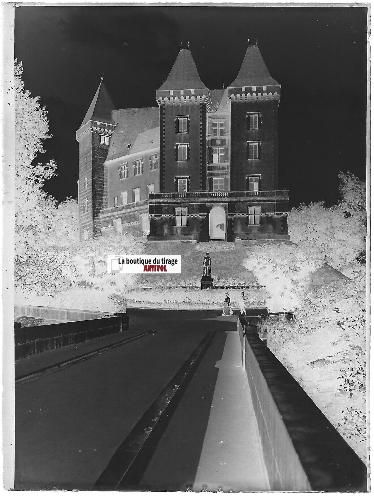 Château de Pau, Plaque verre photo ancienne, négatif noir & blanc 9x12 cm France