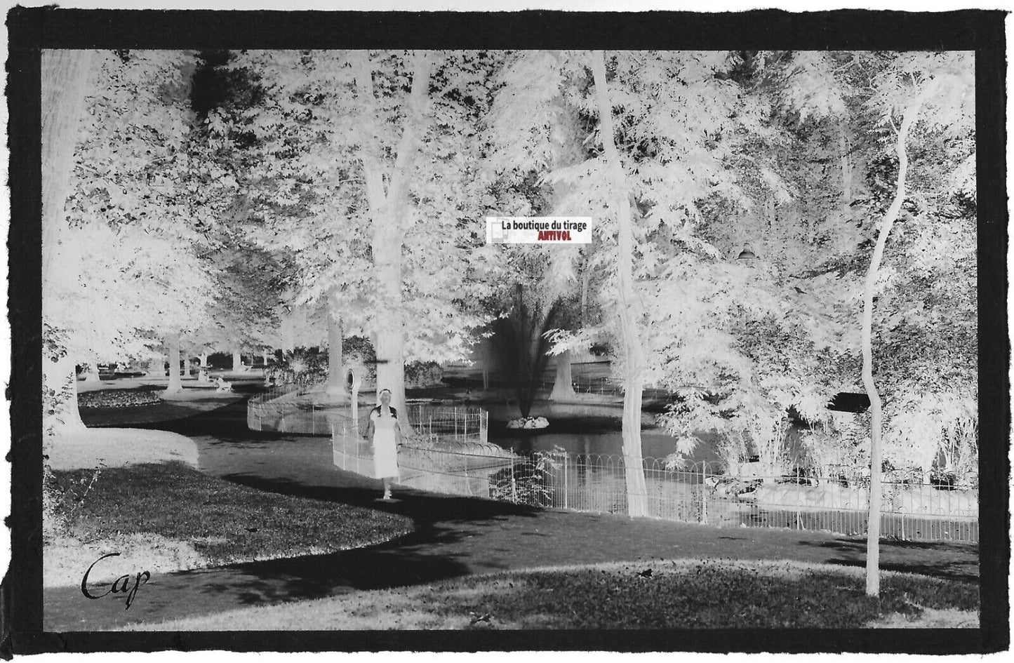 Plaque verre ancienne photo négatif noir & blanc 9x14 cm, Vichy, dame, parc