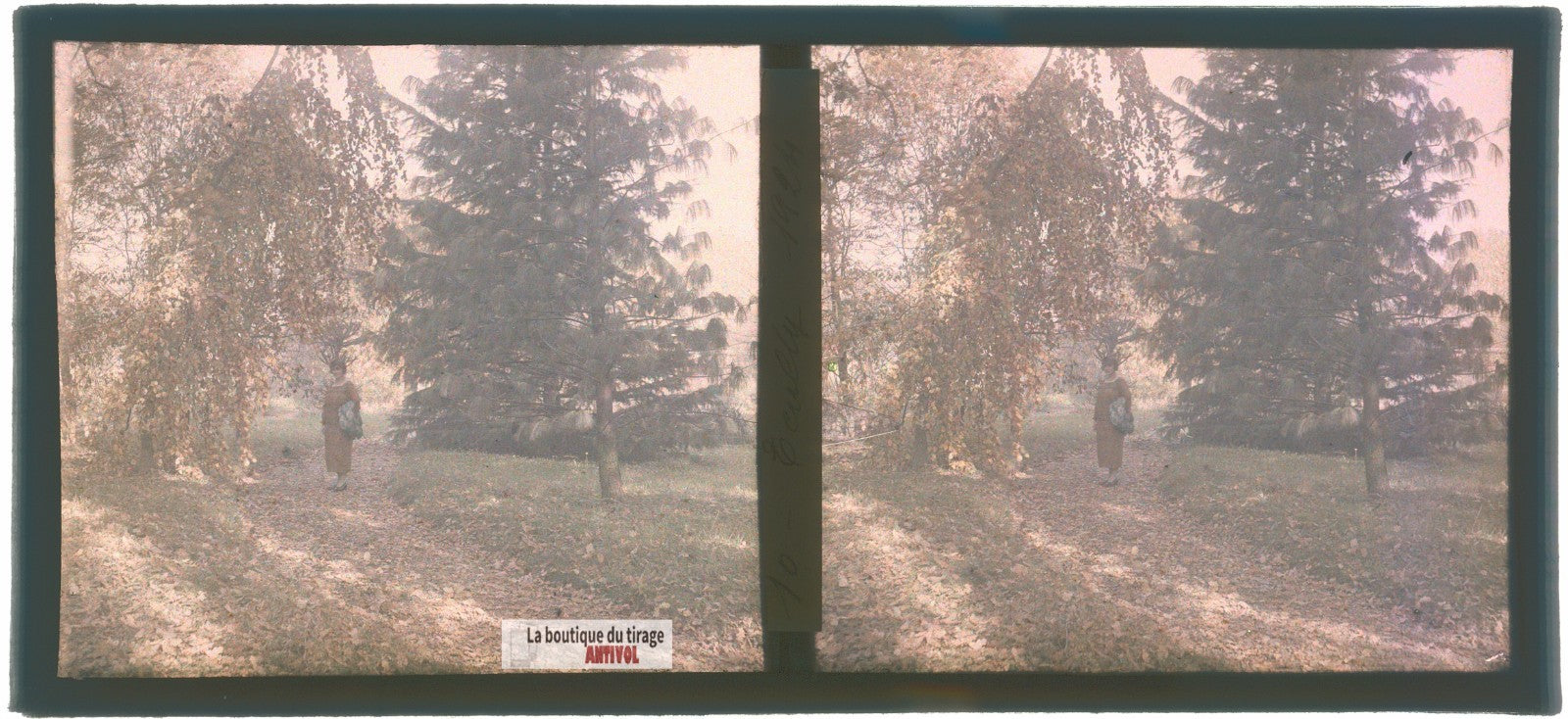 Promenade automne Écully, plaque verre, photo ancienne stéréo 6x13 cm Autochrome