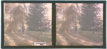 Promenade automne Écully, plaque verre, photo ancienne stéréo 6x13 cm Autochrome
