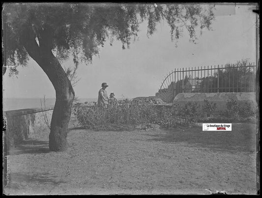 Jardin, mer, France, Plaque verre photo ancienne, négatif noir & blanc 9x12 cm