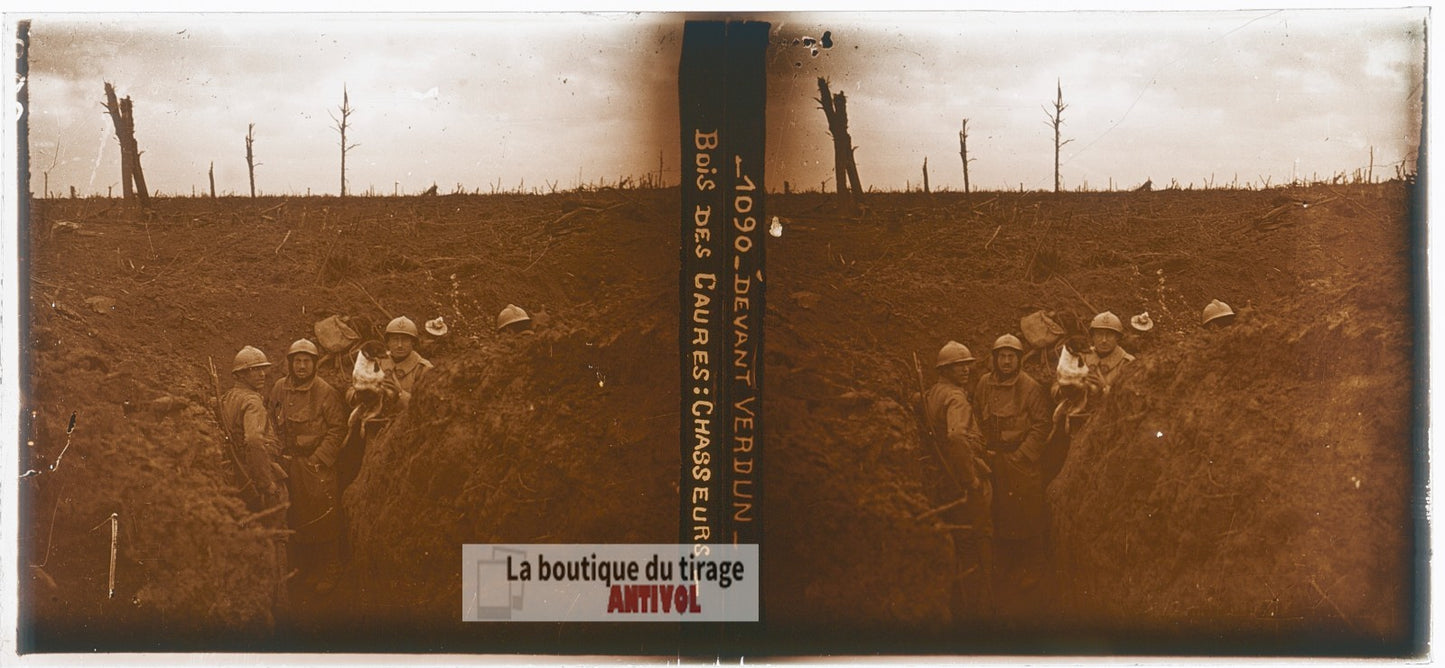 Verdun, Bois des Caures, guerre WW1, plaque verre photo ancienne stéréo 6x13 cm
