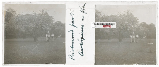 Voyage en Angleterre, Plaque verre stéréo, positif noir & blanc 4,5x10,7 cm