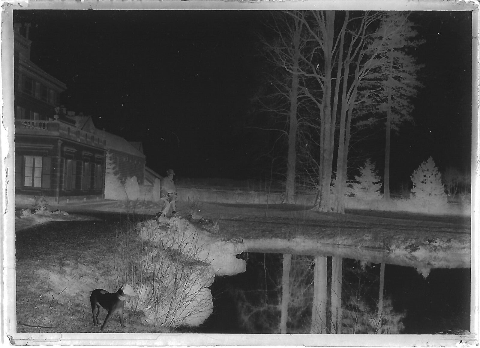 Plaque verre photo ancienne négatif noir et blanc 6x9 cm homme chien château 