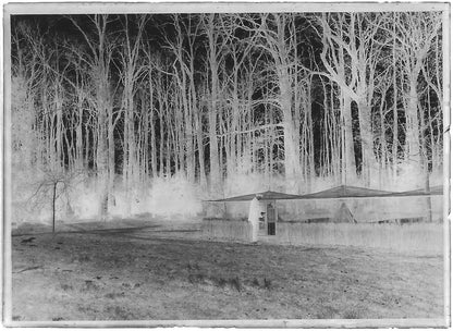Plaque verre photo négatif noir et blanc 6x9 cm élevage chasse gibier Homme 