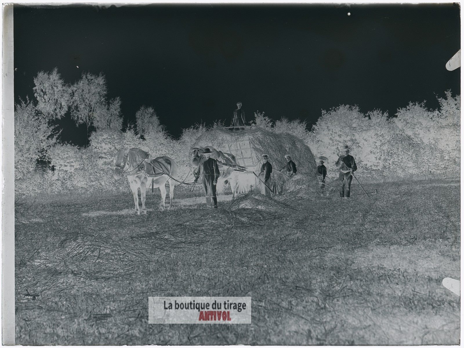 Scène de campagne française, plaque verre, photo ancienne, négatif 9x12 cm