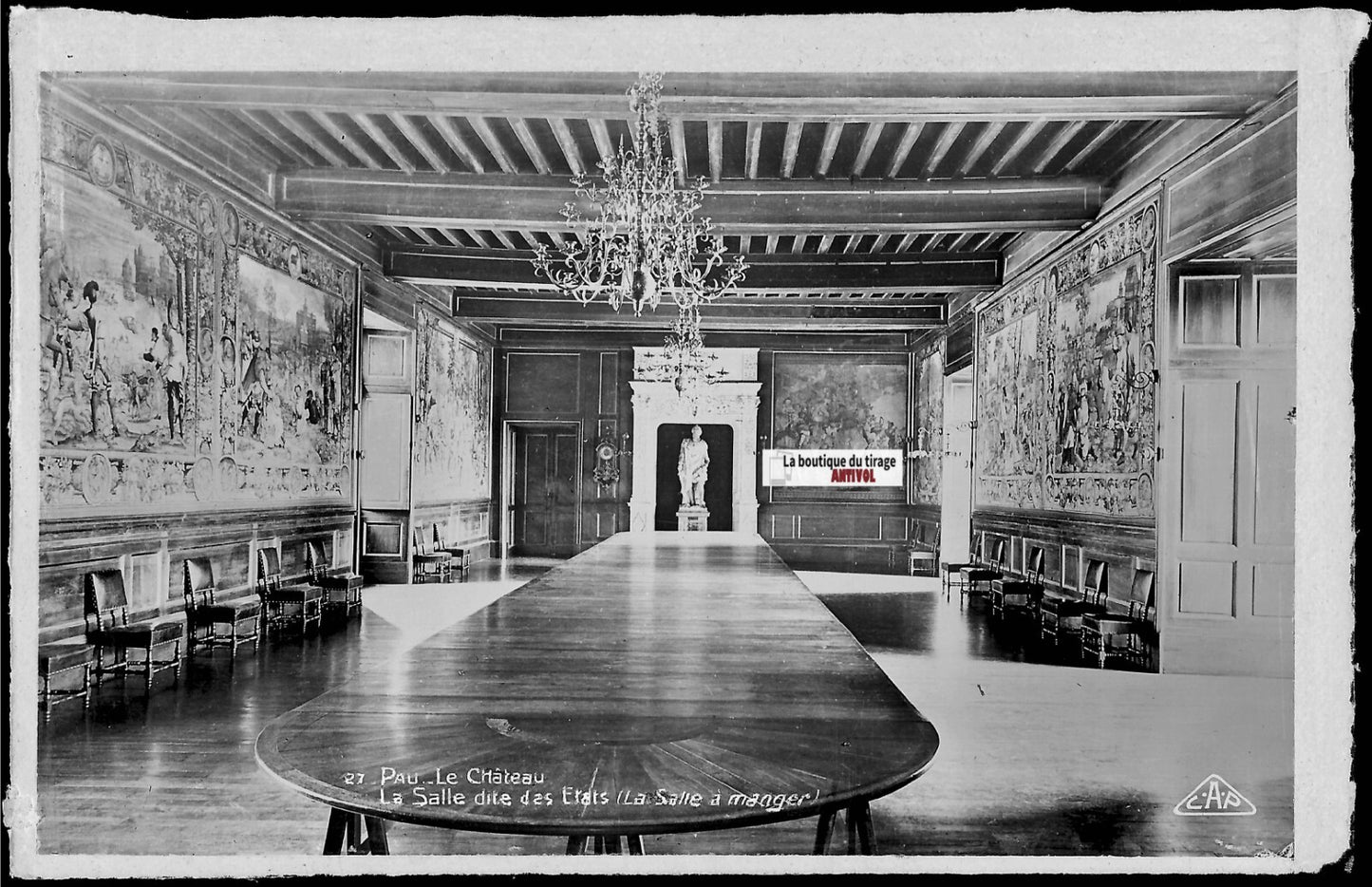 Plaque verre photo négatif noir & blanc 9x14 cm, château de Pau, salle des Etats