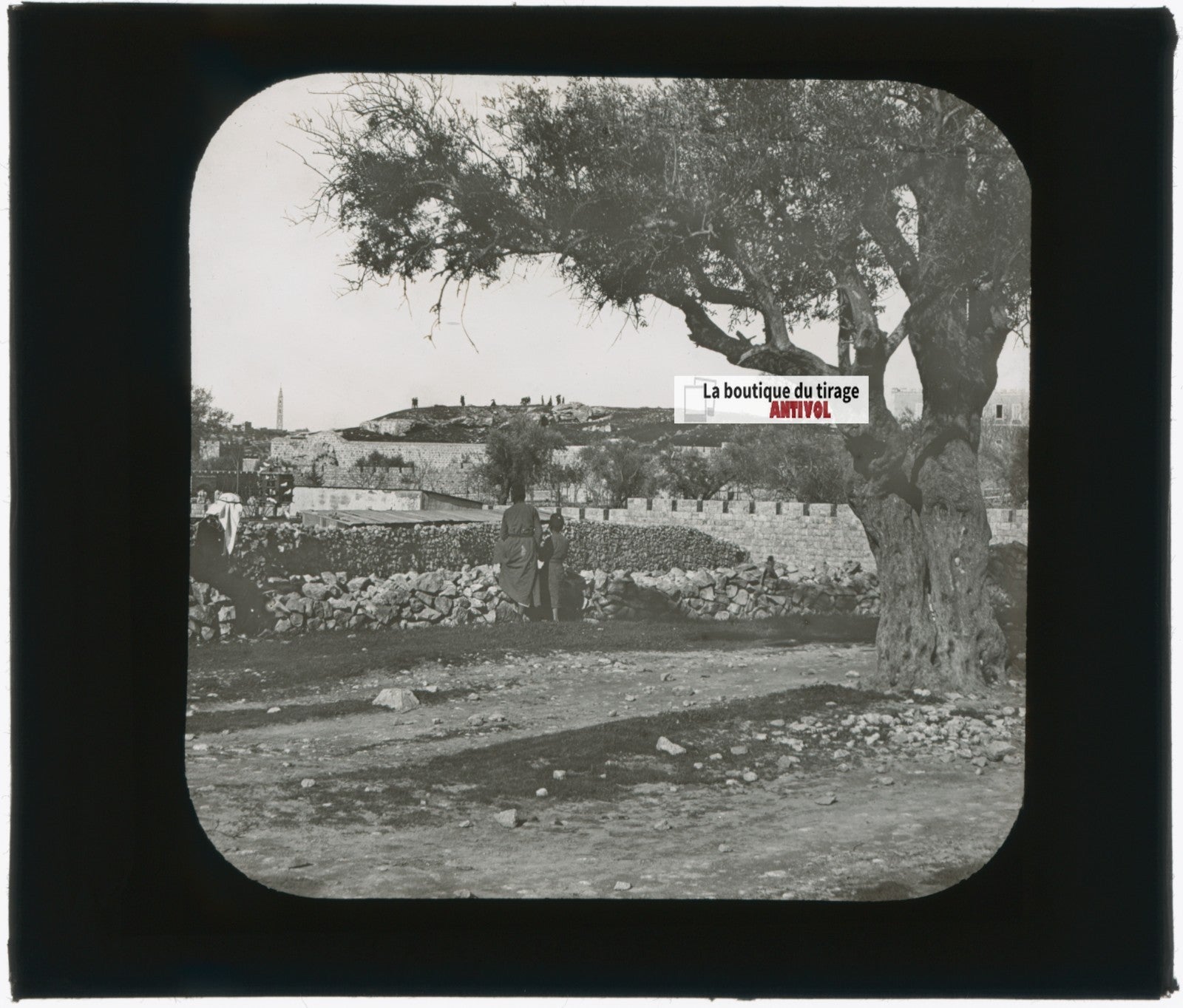 Mont des Oliviers Jérusalem, photo plaque verre, noir & blanc, positif 8,5x10 cm