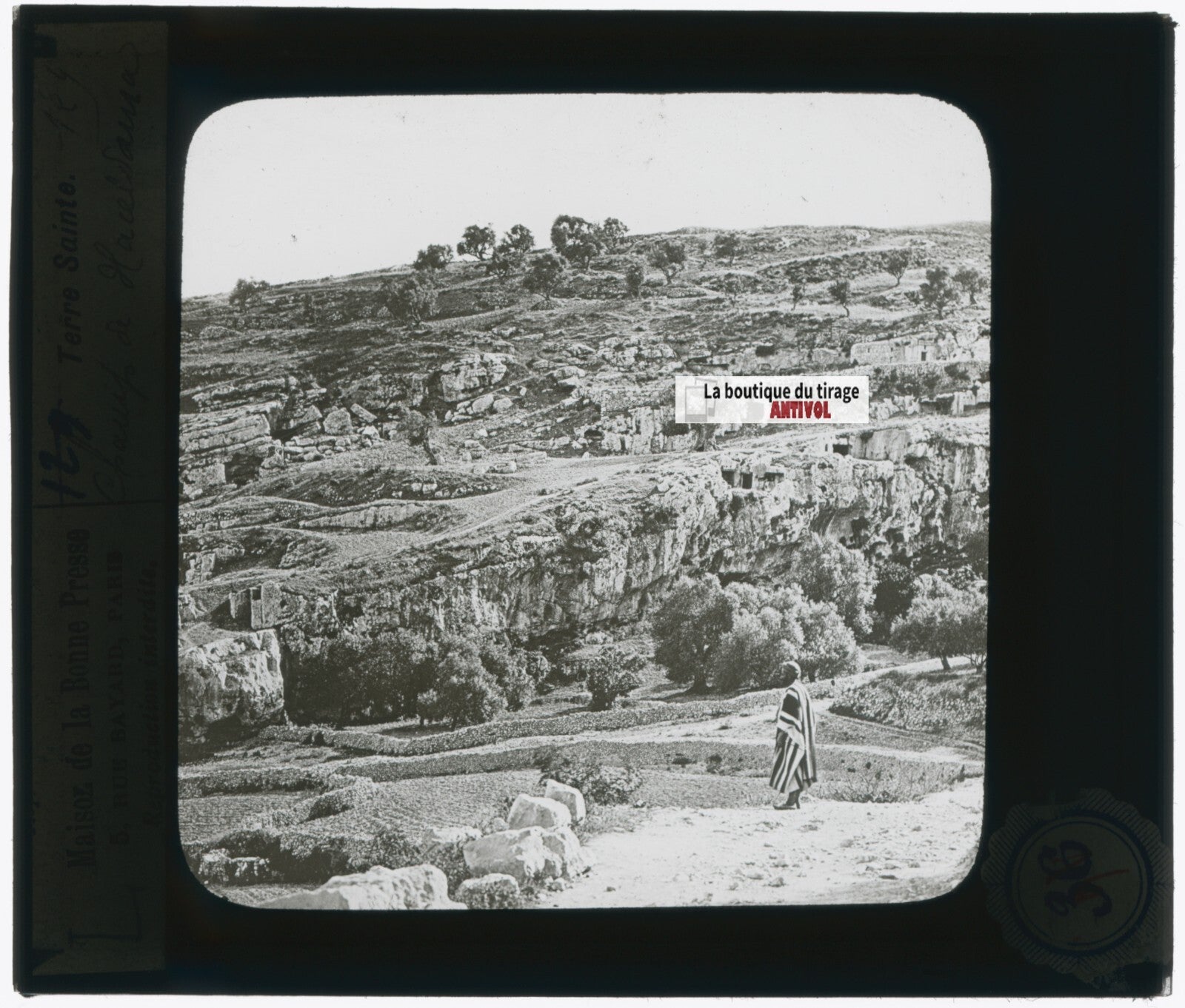 Le champ de Haceldama, photo plaque verre, noir & blanc, positif 8,5x10 cm