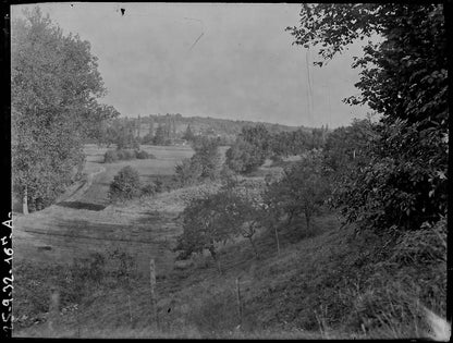 Plaque verre photo ancienne négatif noir et blanc 9x12 cm paysage champs France 