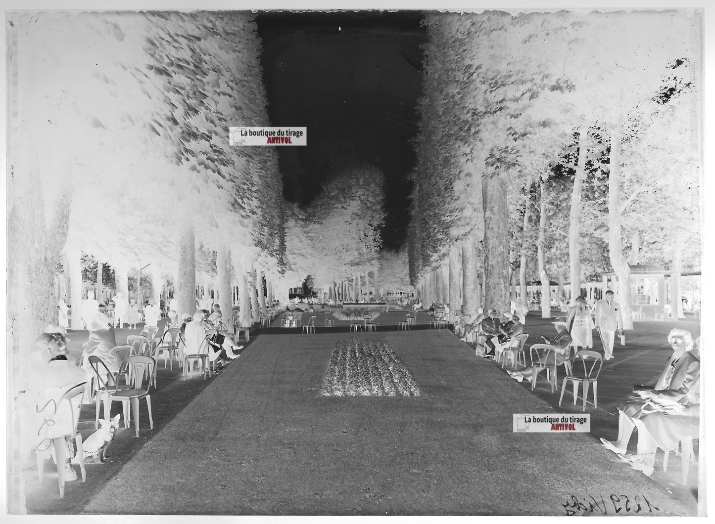 Plaque verre photo ancienne négatif noir et blanc 13x18 cm ancien parc Vichy