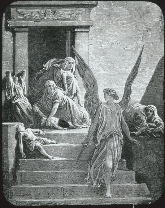 Egypte, la Bible illustrée par Doré, dessin, plaque de verre, positif 8,5x10 cm