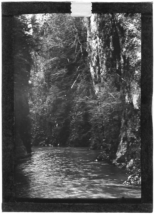 Plaque verre photo ancienne positif noir et blanc 6x9 cm rivière gorges Kakuetta