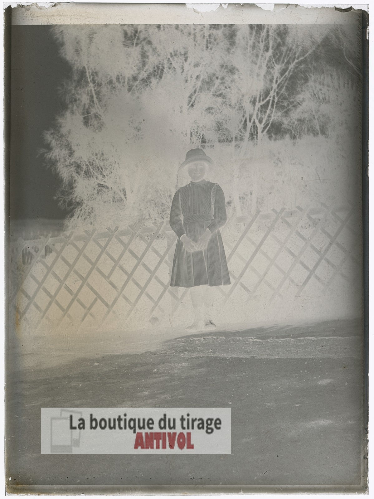 Jeune fille, Oran, Algérie, plaque verre, photo ancienne, négatif 9x12 cm