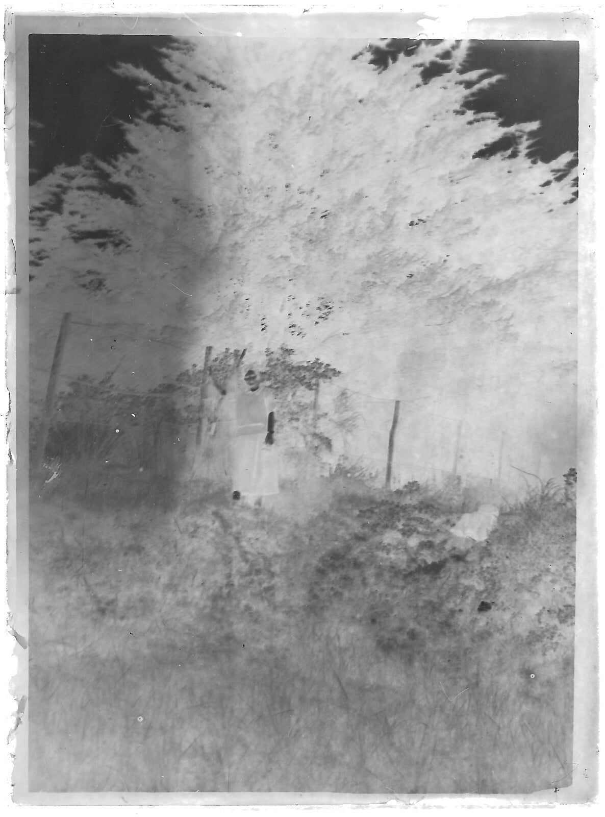 Plaque verre photo ancienne noir et blanc négatif 9x12 cm femme nature glass 