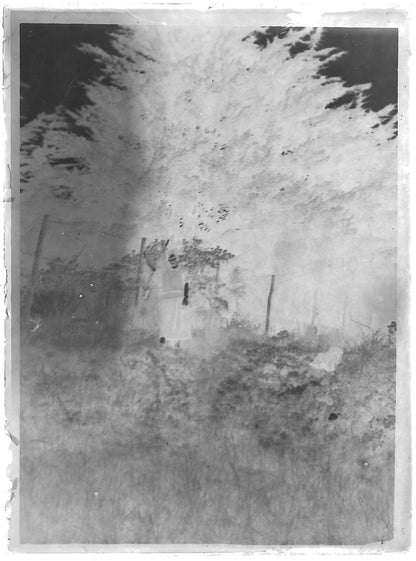 Plaque verre photo ancienne noir et blanc négatif 9x12 cm femme nature glass 