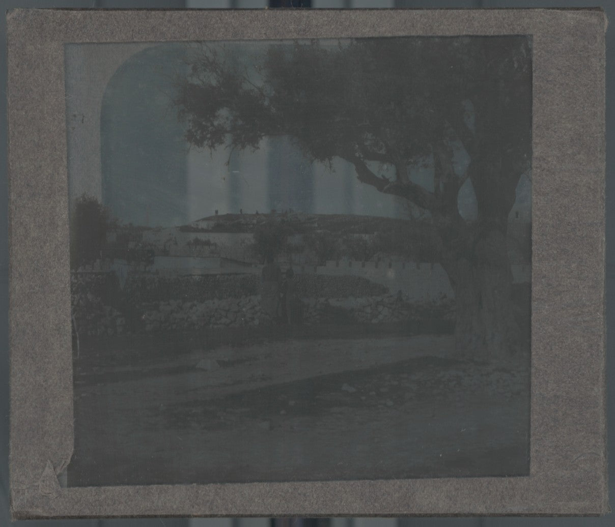 Mont des Oliviers Jérusalem, photo plaque verre, noir & blanc, positif 8,5x10 cm
