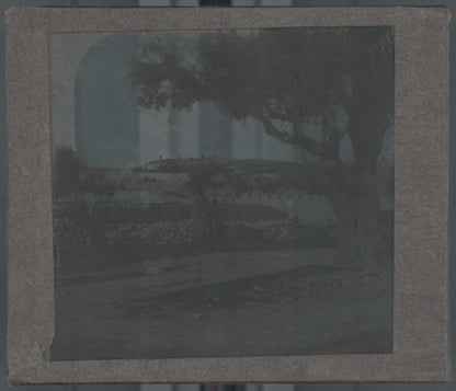 Mont des Oliviers Jérusalem, photo plaque verre, noir & blanc, positif 8,5x10 cm