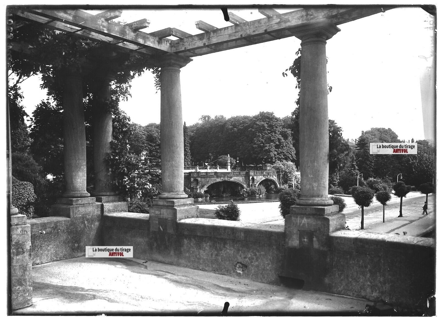 Plaque verre photo ancienne positif noir et blanc 13x18 cm Metz jardin public