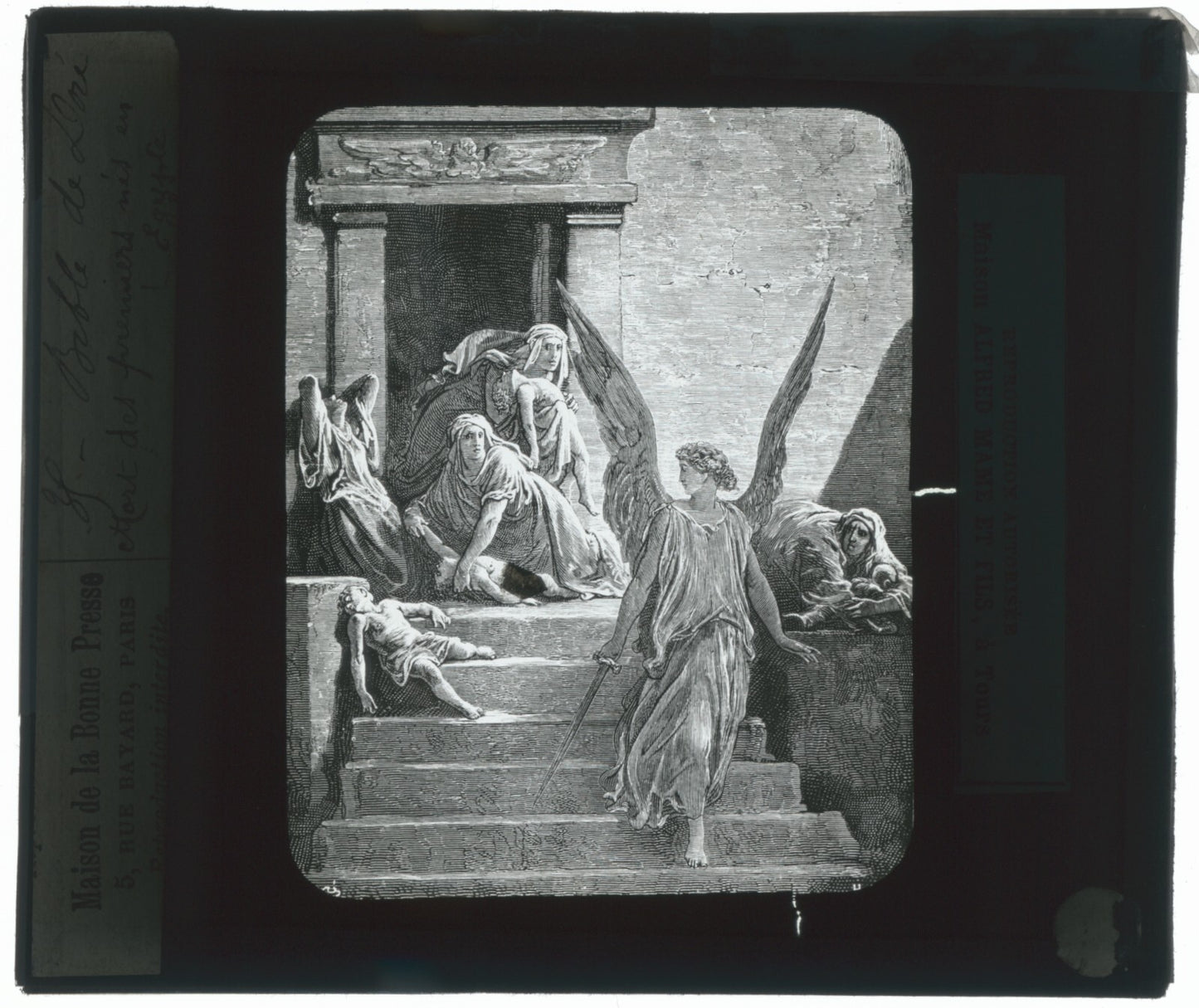 Egypte, la Bible illustrée par Doré, dessin, plaque de verre, positif 8,5x10 cm