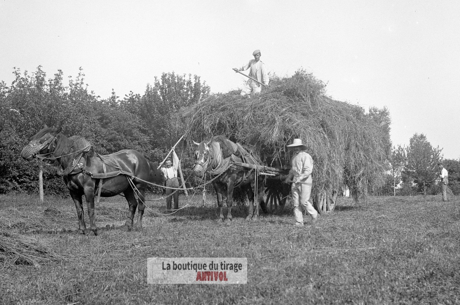 Scène de campagne française, plaque verre, photo ancienne, négatif 9x12 cm