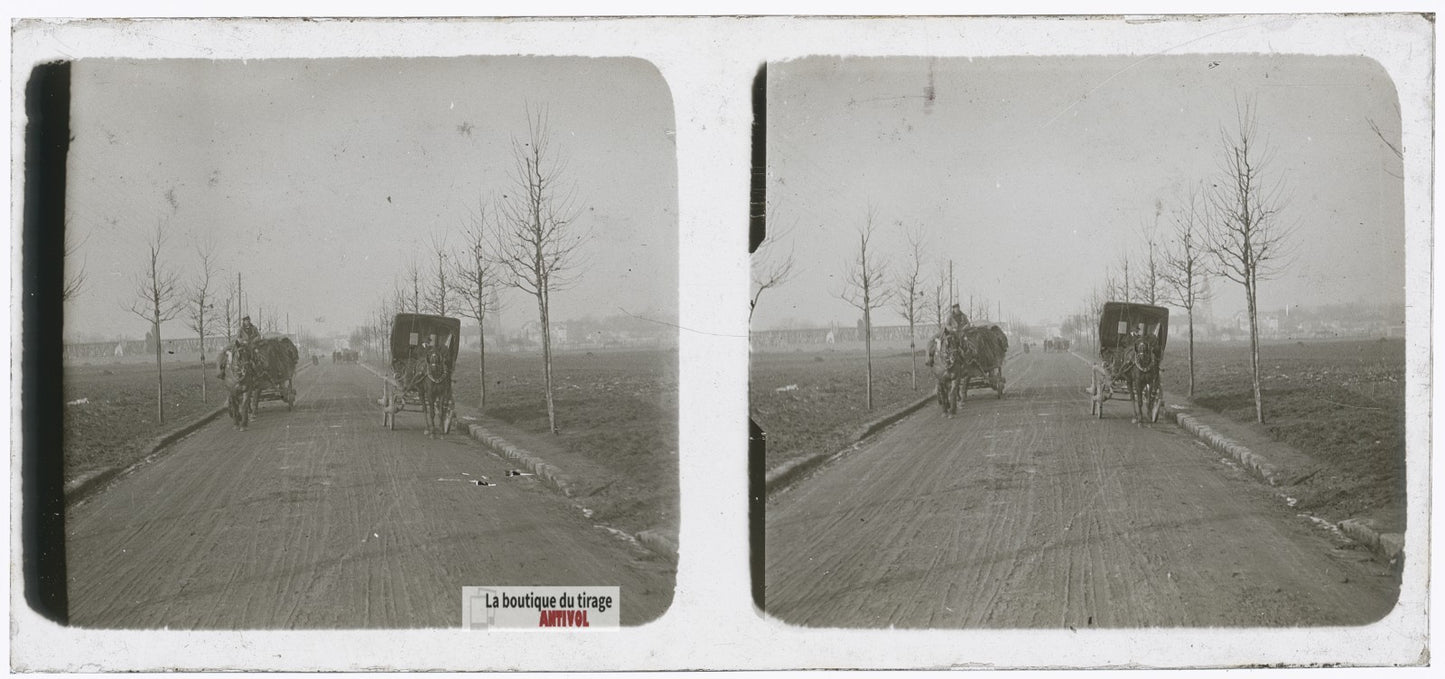 Voitures hippomobiles, chevaux, plaque verre photo ancienne stéréo 6x13 cm