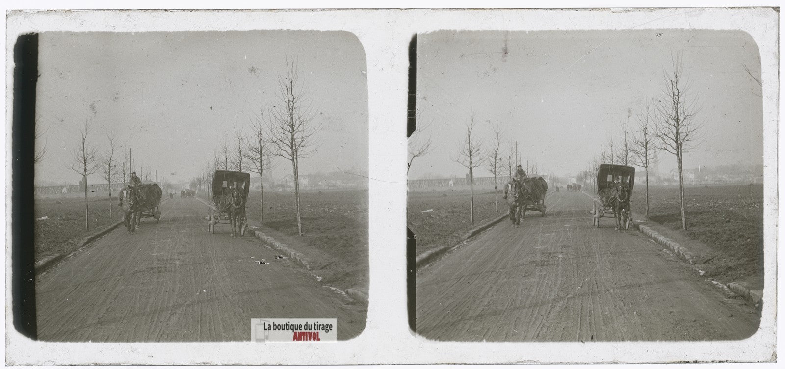 Voitures hippomobiles, chevaux, plaque verre photo ancienne stéréo 6x13 cm