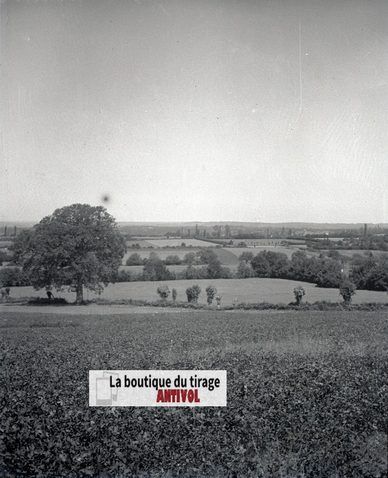 Champs, paysage France, plaque verre, photo ancienne, négatif N&B 6x13 cm