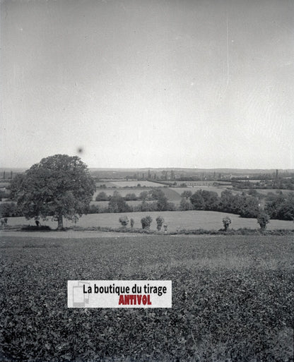 Champs, paysage France, plaque verre, photo ancienne, négatif N&B 6x13 cm