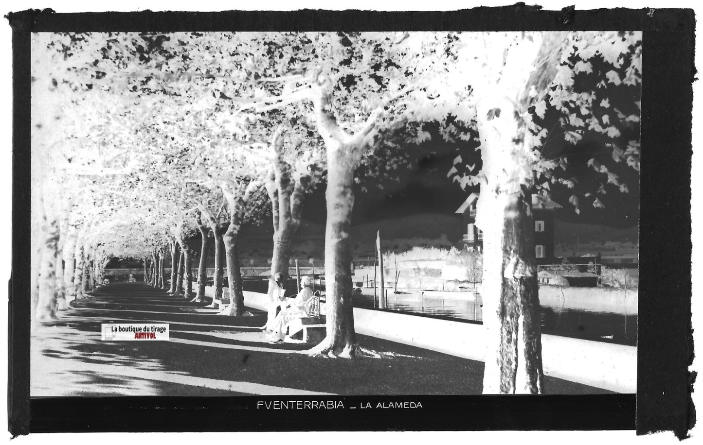 Plaque verre photo négatif noir & blanc 9x14 cm, Fuenterrabia, La Alameda