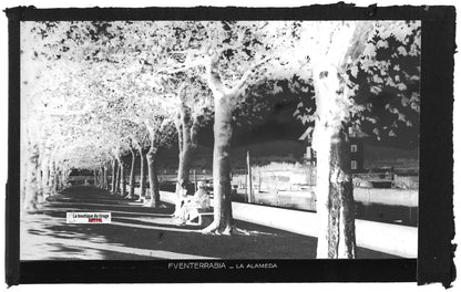 Plaque verre photo négatif noir & blanc 9x14 cm, Fuenterrabia, La Alameda