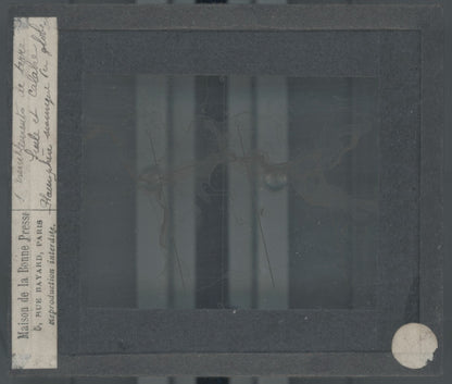 Carte zones volcaniques, photo plaque verre, noir & blanc, positif 8,5x10 cm