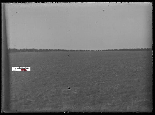 Campagne, paysage, Plaque verre photo ancienne, négatif noir & blanc 6x9 cm