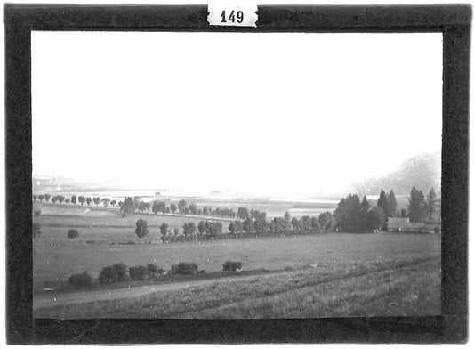 Plaque verre photo ancienne positif noir et blanc 6x9 cm nature France vintage