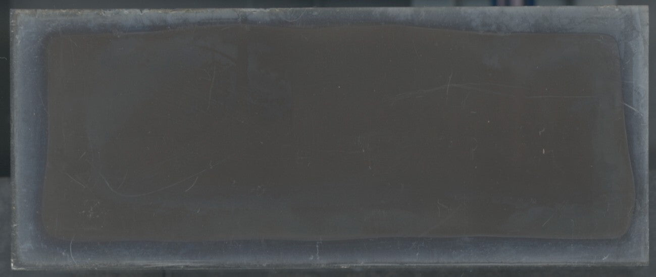 Campagne, nature, Plaque verre stéréoscopie, négatif noir & blanc 4,5x10,7 cm