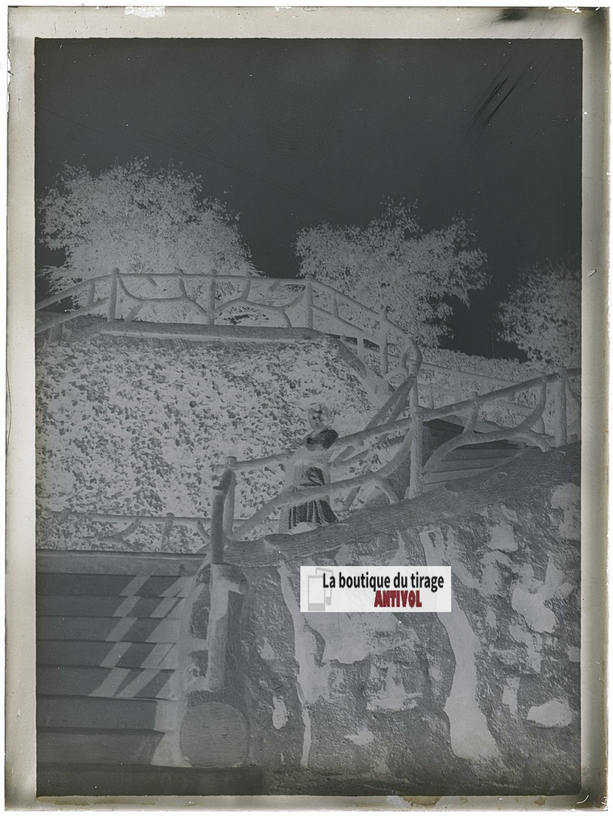Femme, parc jardin, photo ancienne plaque verre, négatif noir & blanc, 9x12 cm