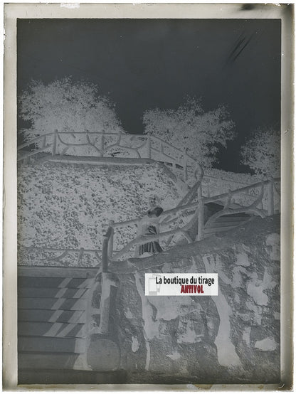 Femme, parc jardin, photo ancienne plaque verre, négatif noir & blanc, 9x12 cm