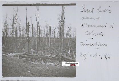 Assevillers Estrées, Plaque verre stéréo positif ancien noir & blanc 4,5x10,7 cm