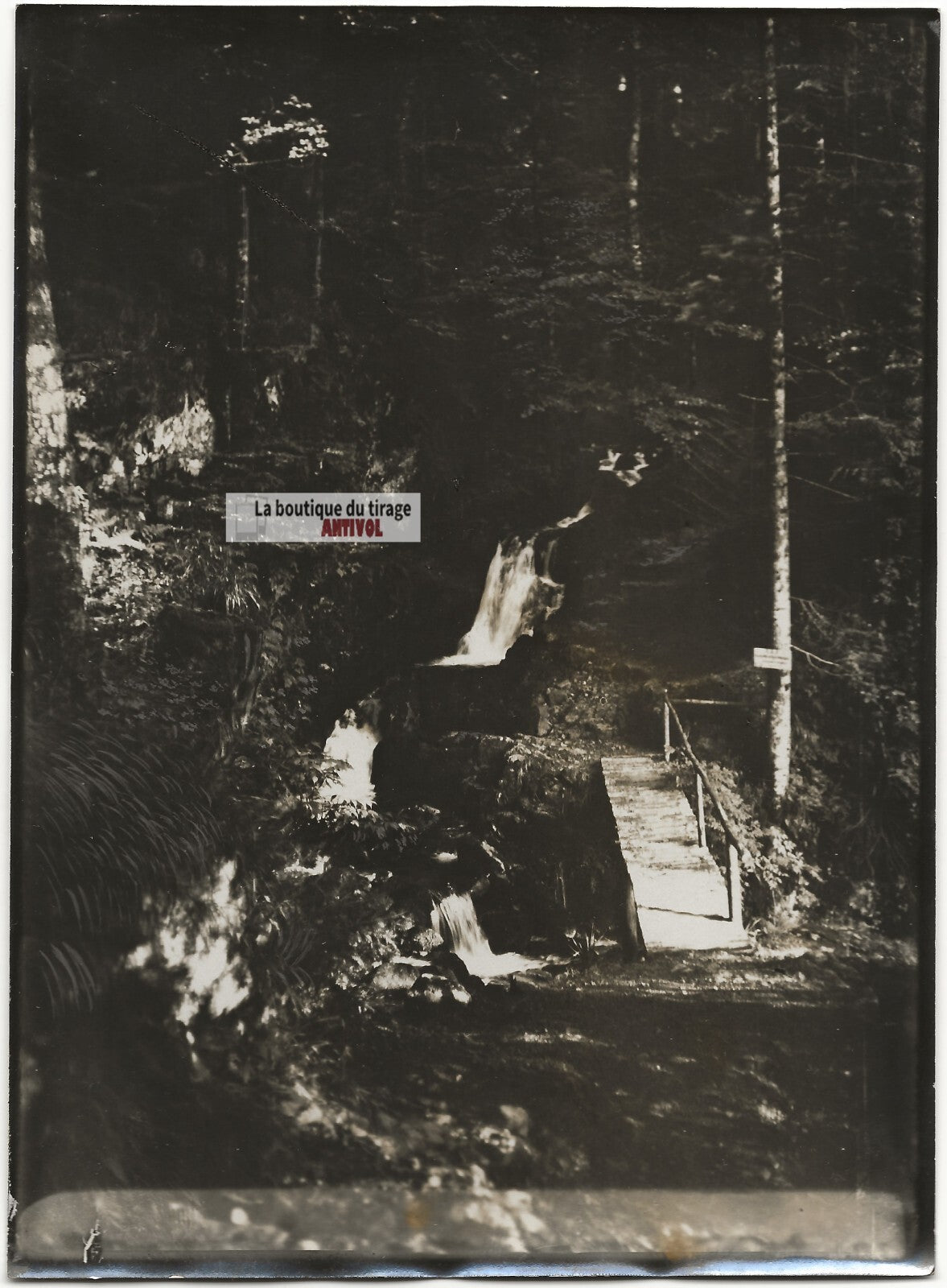 Plaque verre photo ancienne négatif noir et blanc 13x18 cm Gérardmer Roitelets