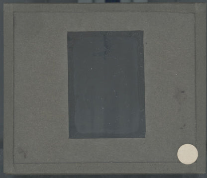 Temples de Nikkō, Japon, photo plaque verre, noir & blanc, positif 8,5x10 cm