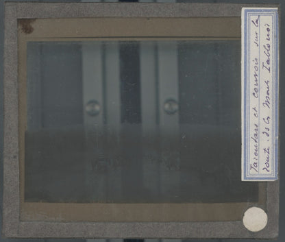 Iablonoï, Russie, Tarantass, photo plaque verre, noir & blanc, positif 8,5x10 cm