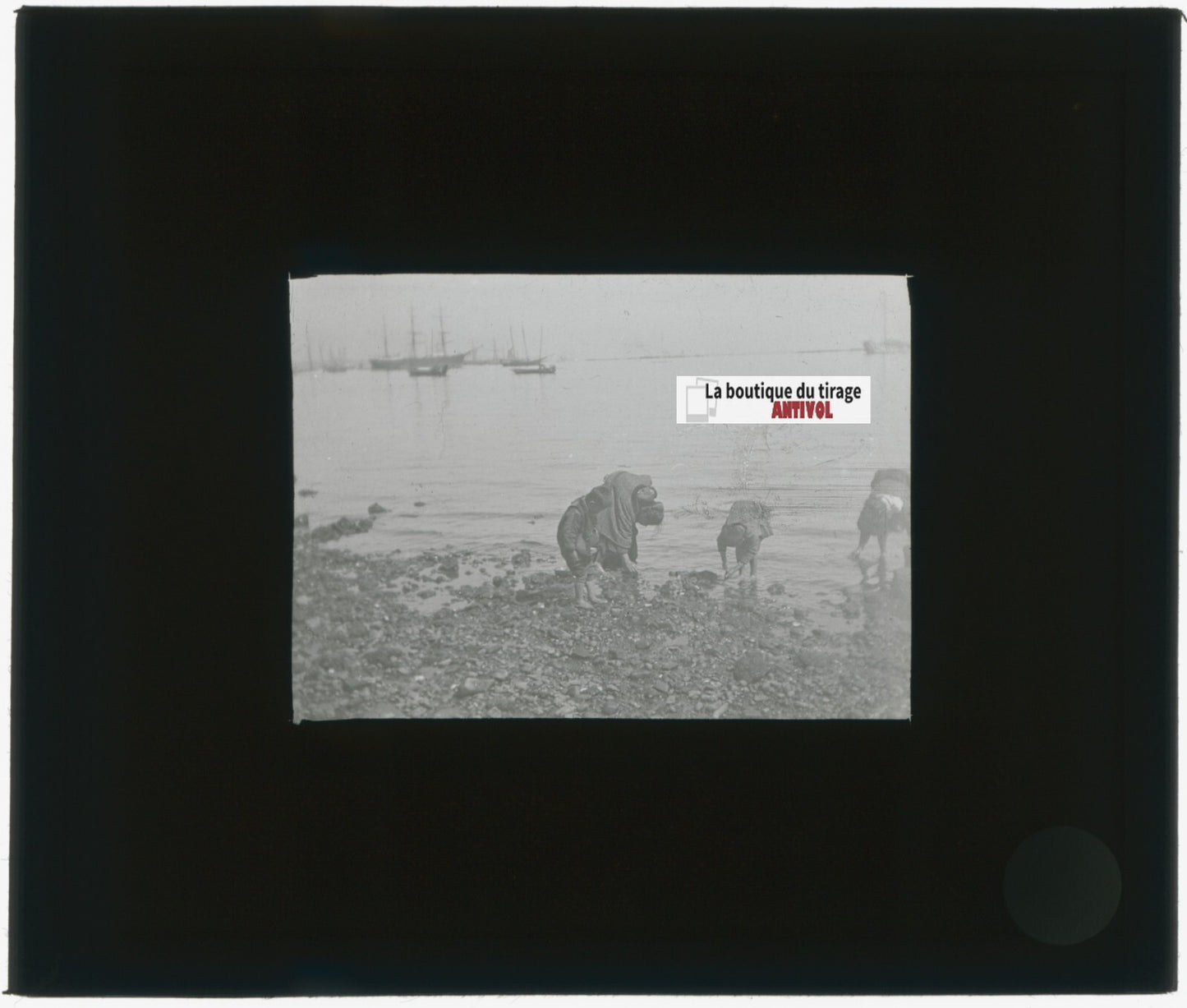 Yokohama, Japon, bateaux, photo plaque verre, noir & blanc, positif 8,5x10 cm