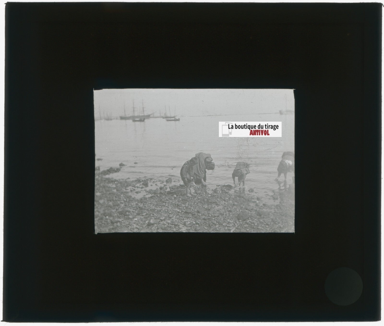 Yokohama, Japon, bateaux, photo plaque verre, noir & blanc, positif 8,5x10 cm