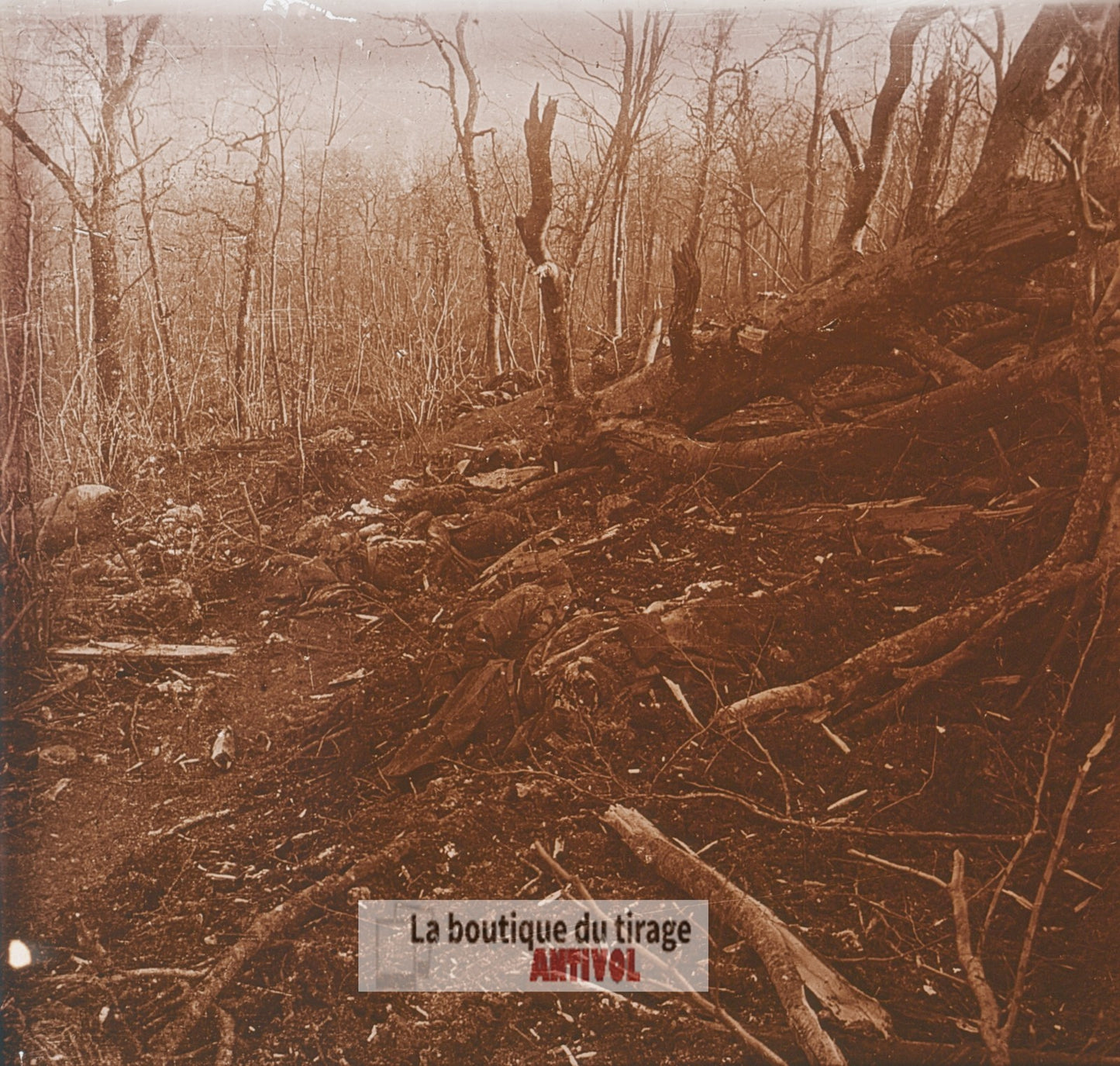 Éparges, 1915, cadavres, WW1, plaque verre photo ancienne stéréo 6x13 cm